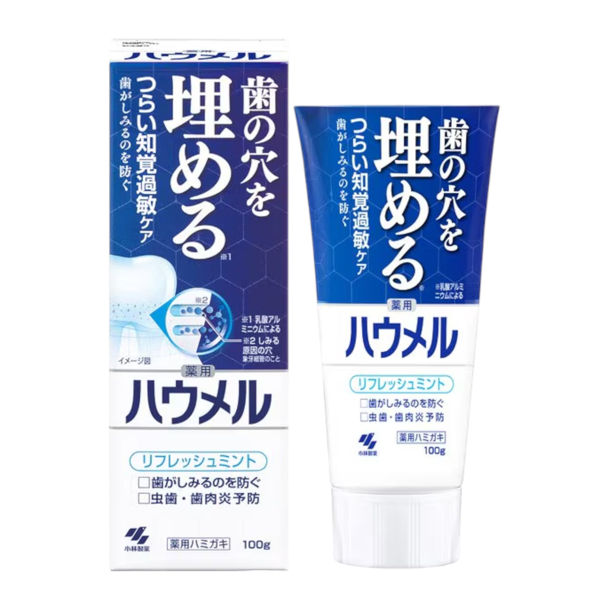 고바야시 하우멜 지각과민 케어 약용 치약 100g