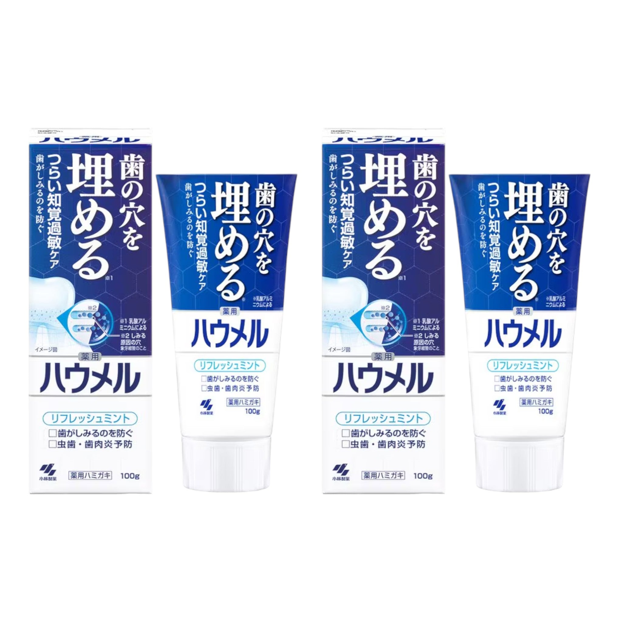 고바야시 하우멜 지각과민 케어 약용 치약 100g (2개 세트)