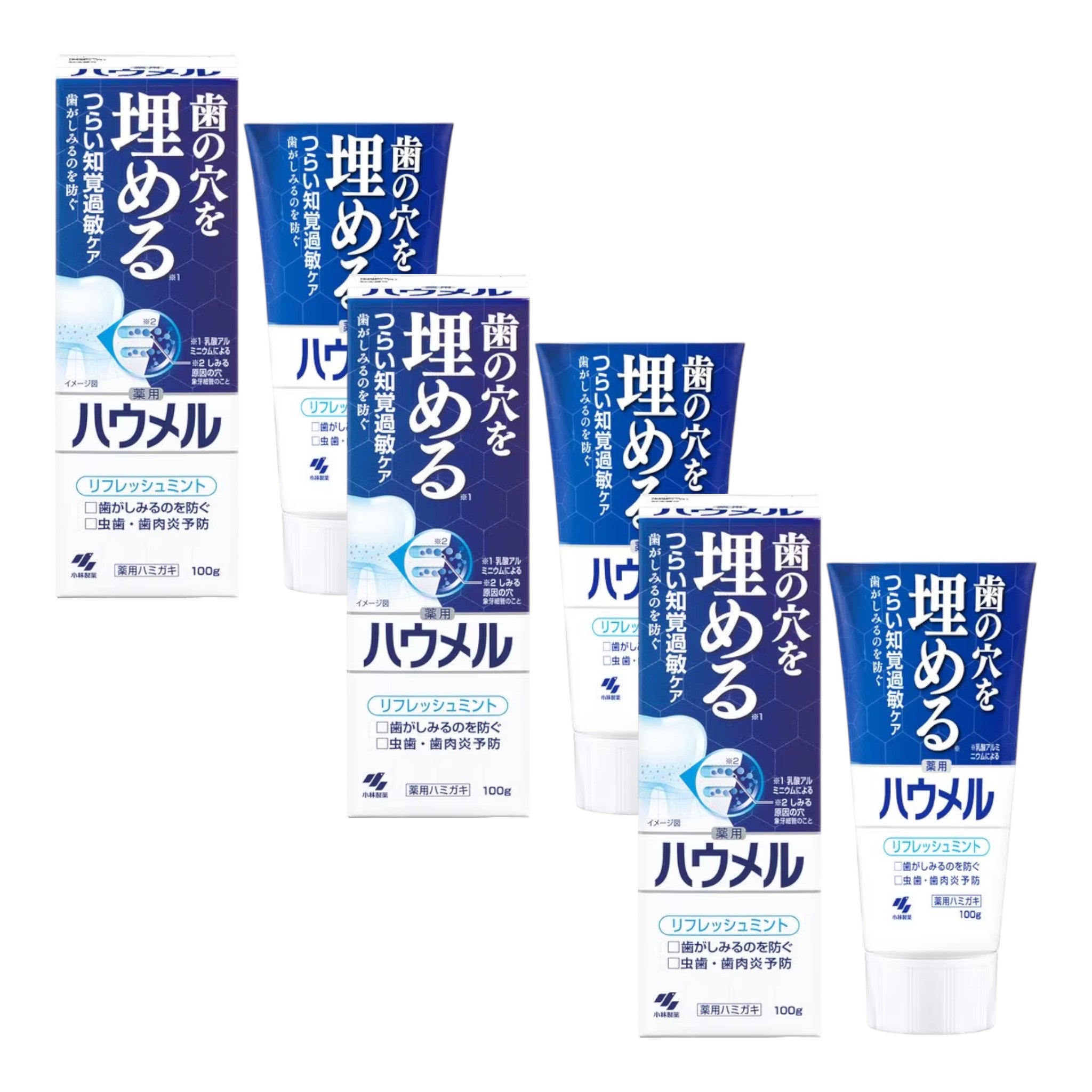 고바야시 하우멜 지각과민 케어 약용 치약 100g (3개 세트)