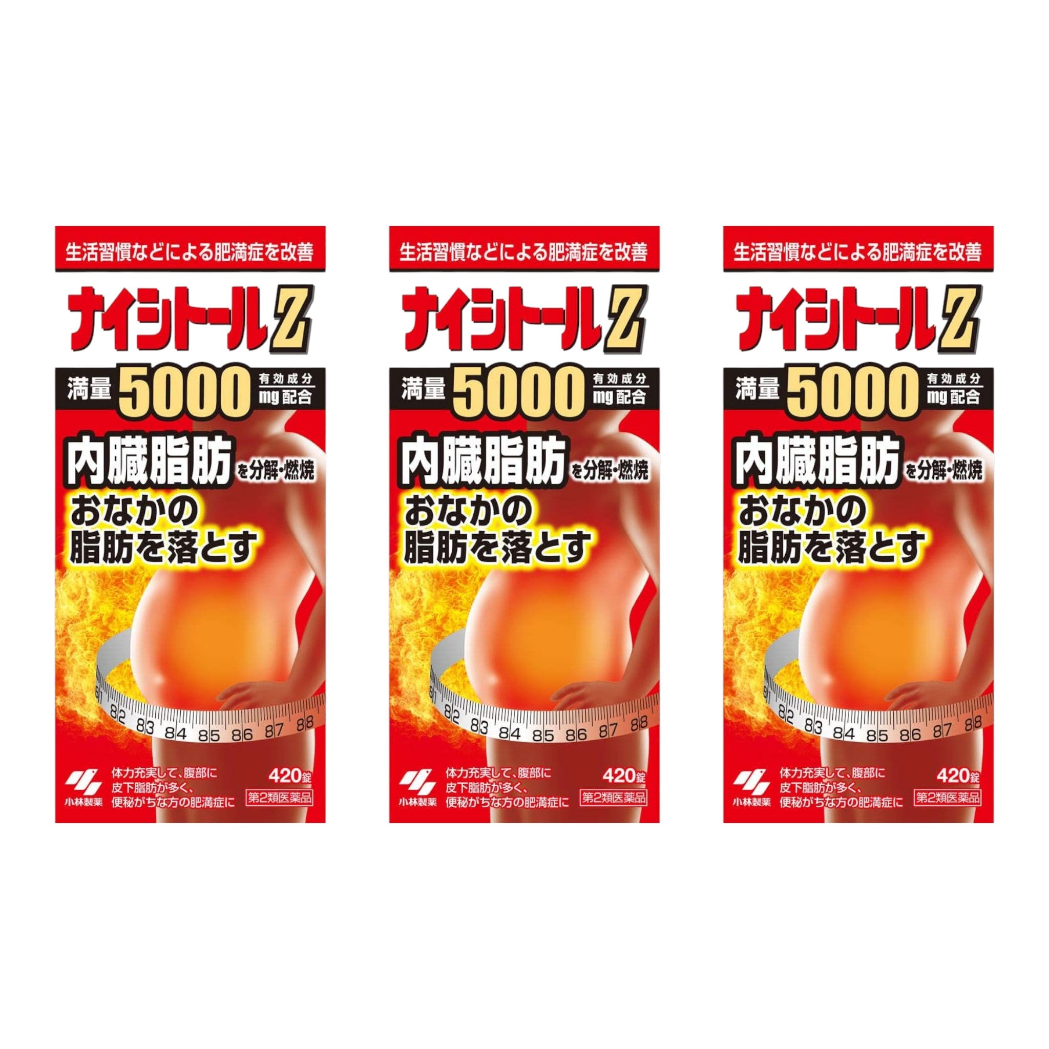 고바야시 나이시토르 Z 420정 3개세트